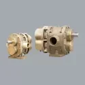 GEAR PUMP  Bare SHAFT  Positive Rotary Gear Pump