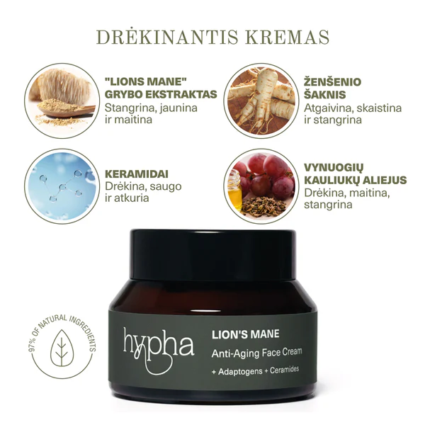 Mini Anti-Aging Rutinos Rinkinys 2in1 – Natūralus, su Liūto Karčių Grybų Ekstraktu