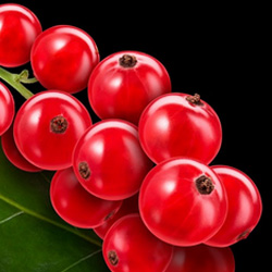 SOTHYS Gaivinantis Valomasis Gelis 200 ml – Švelnus Veido Valymas su Micelėmis