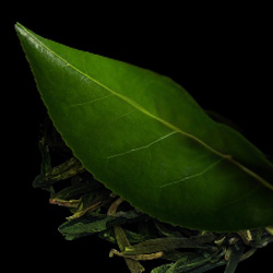 SOTHYS Gaivinantis Valomasis Gelis 200 ml – Švelnus Veido Valymas su Micelėmis