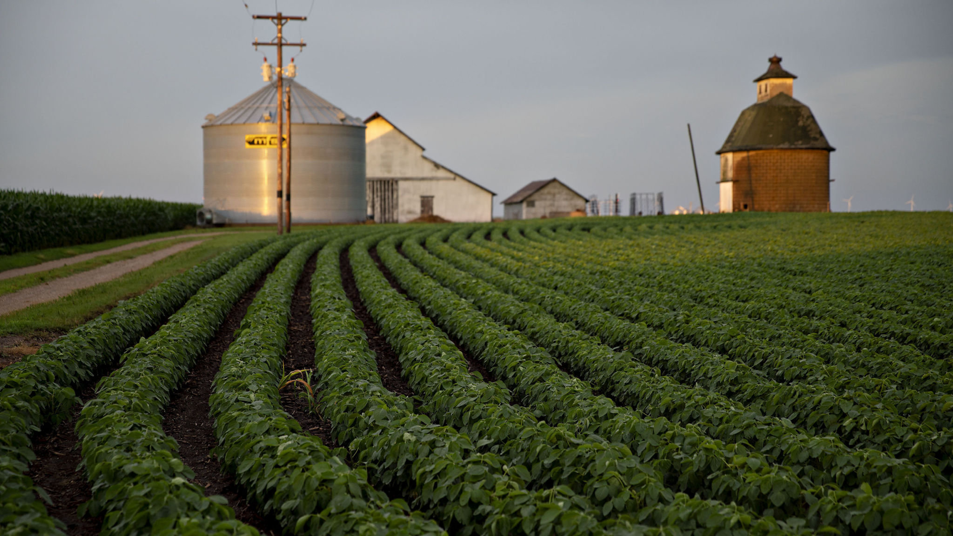 Farm to (Closing) Table