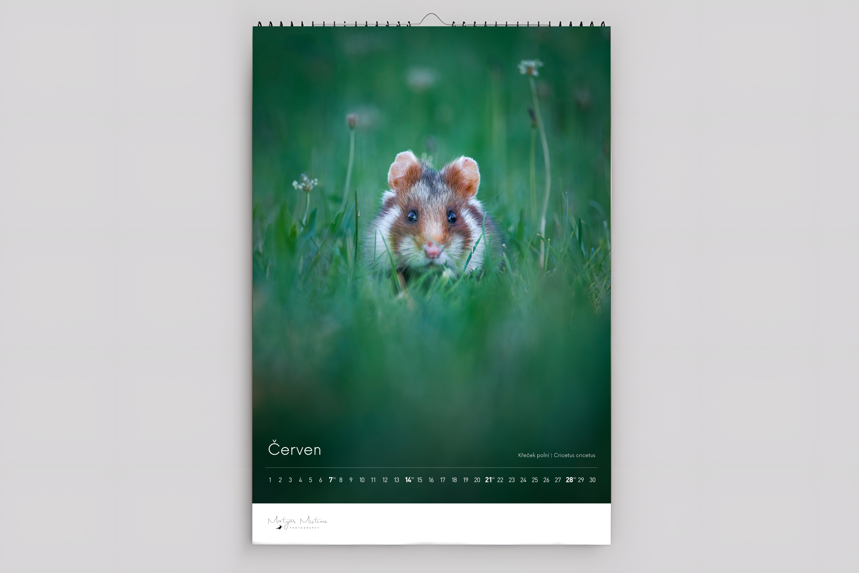 Nástěnný kalendář 2026