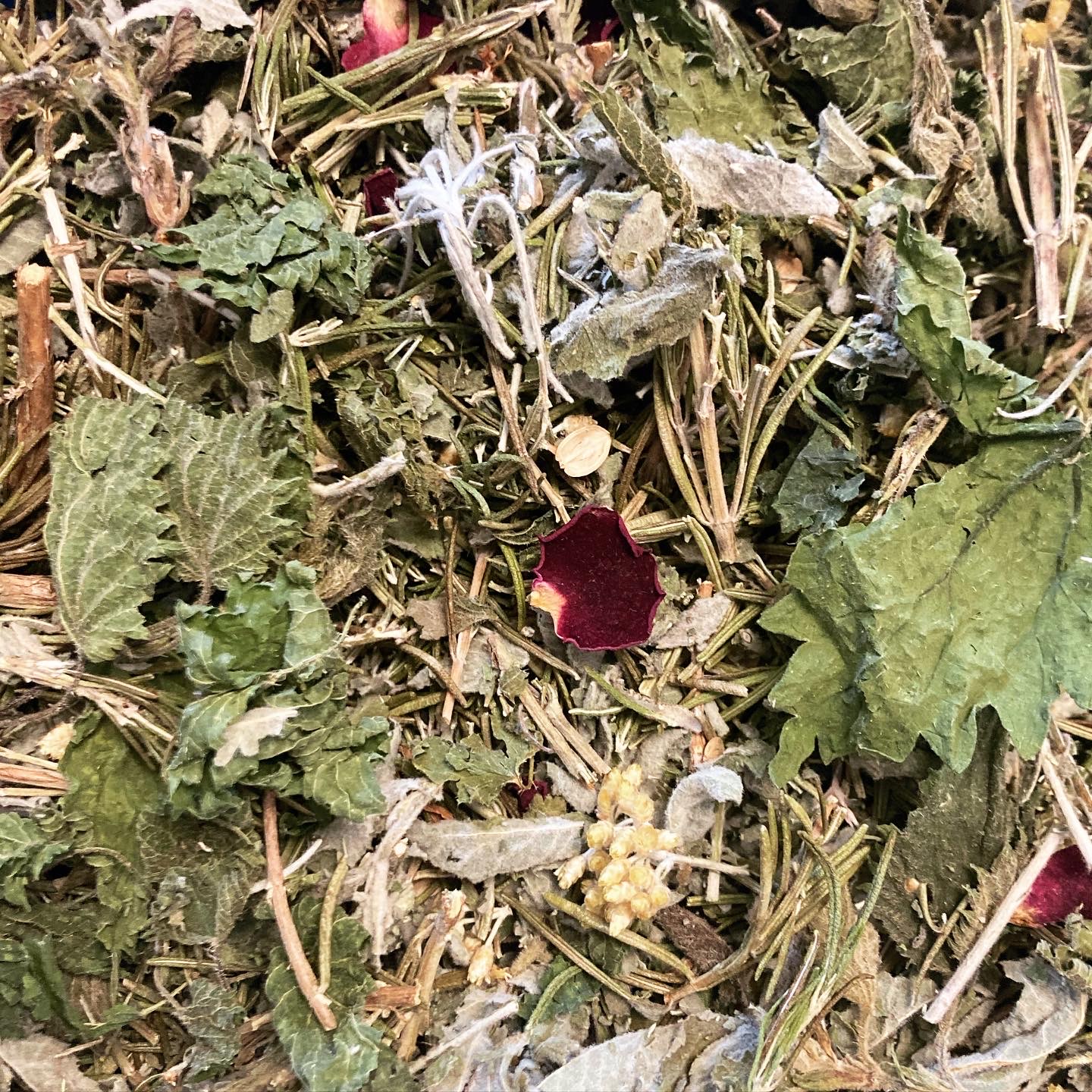 Tisane "Réveil en éveil"