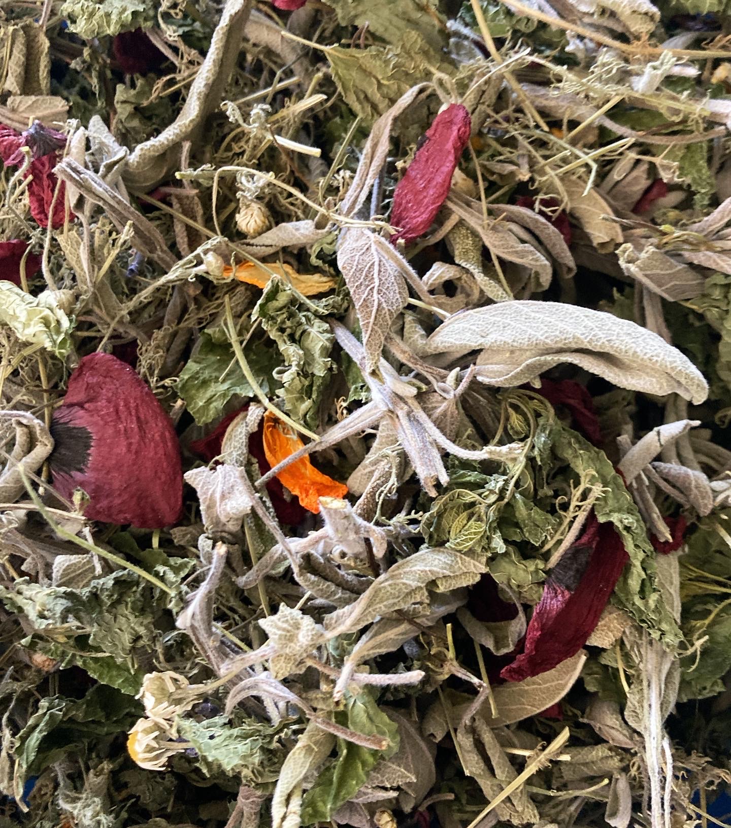 Tisane "O'lion d'or"
