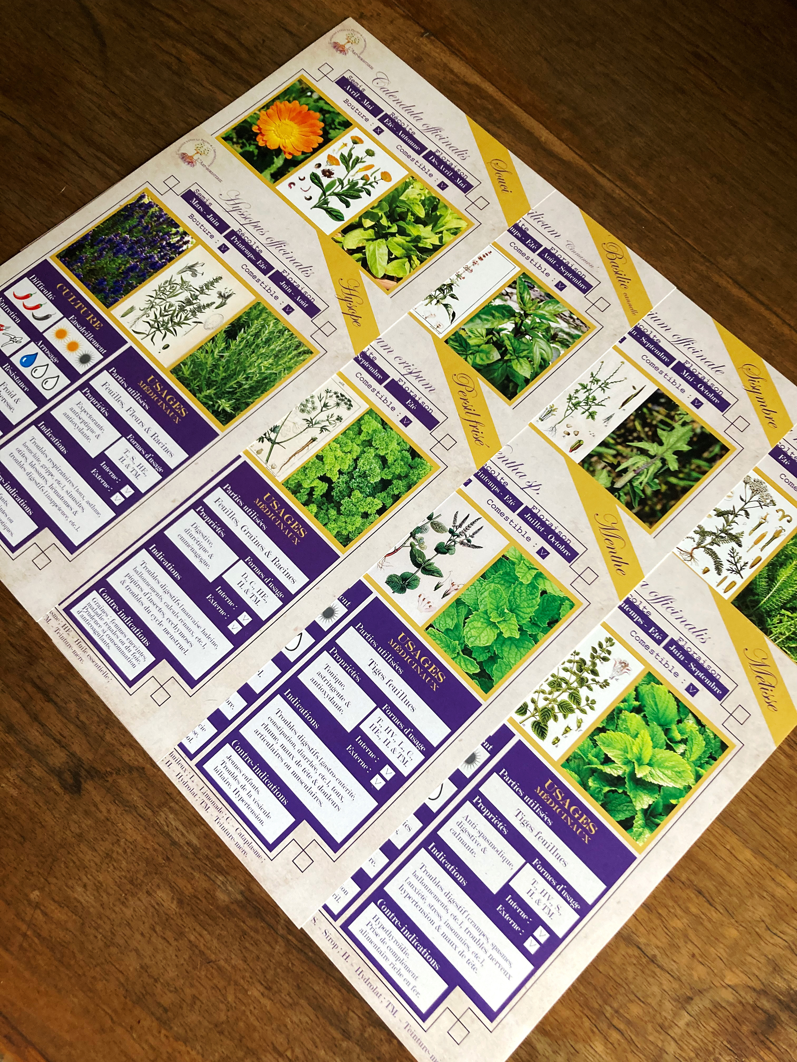 8 Fiches Plantes médicinales