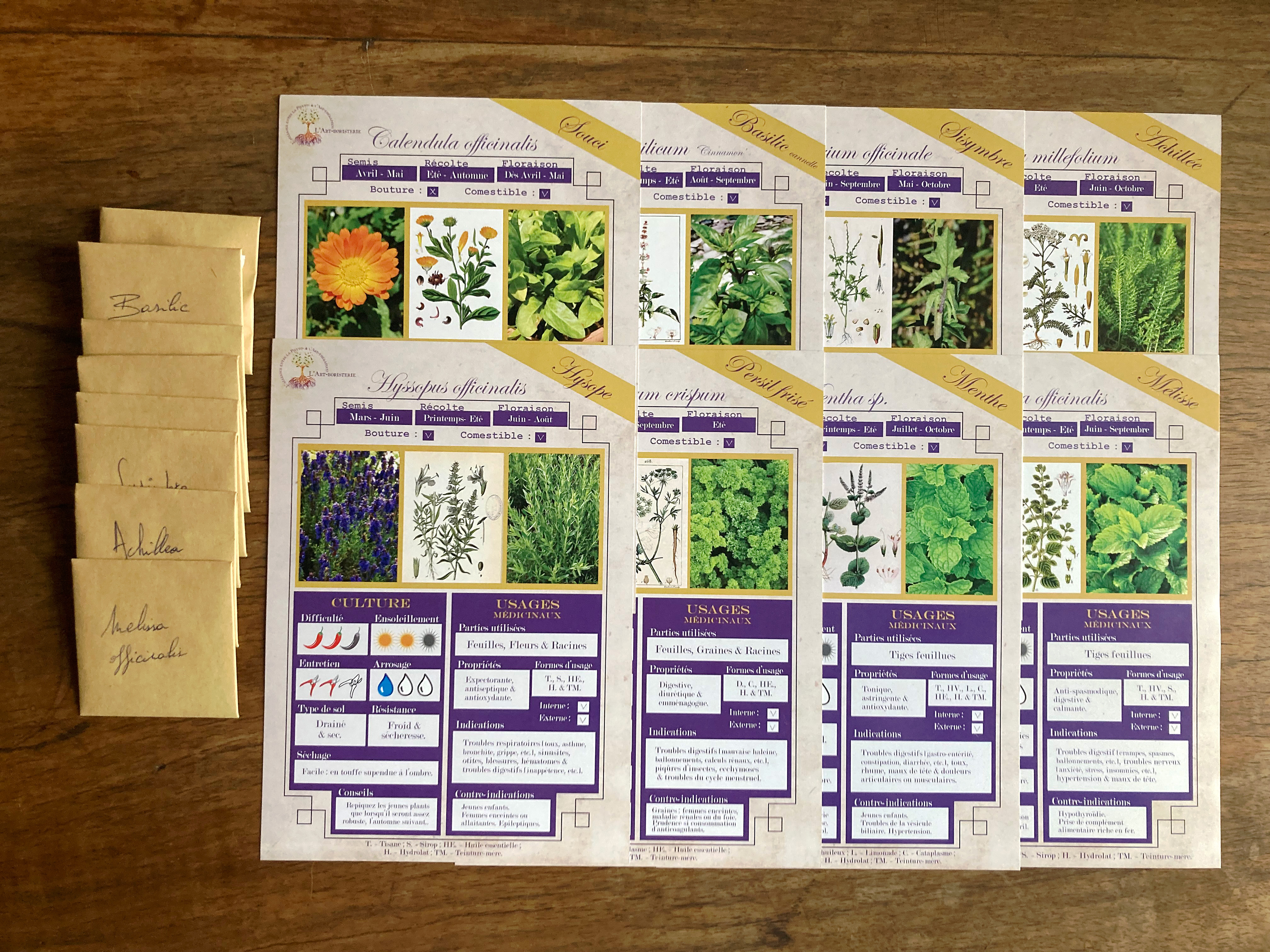 8 Fiches Plantes médicinales