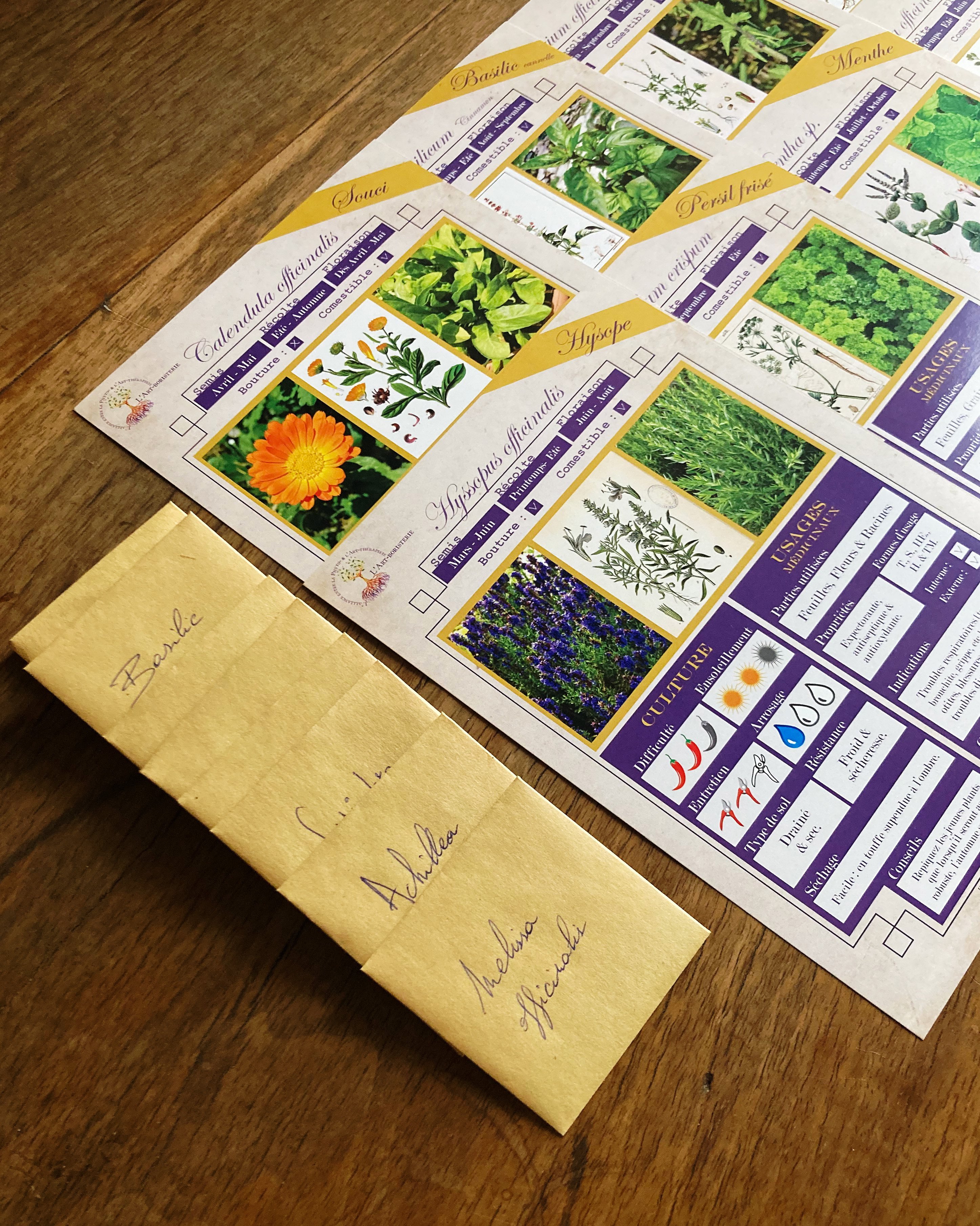 8 Fiches Plantes médicinales