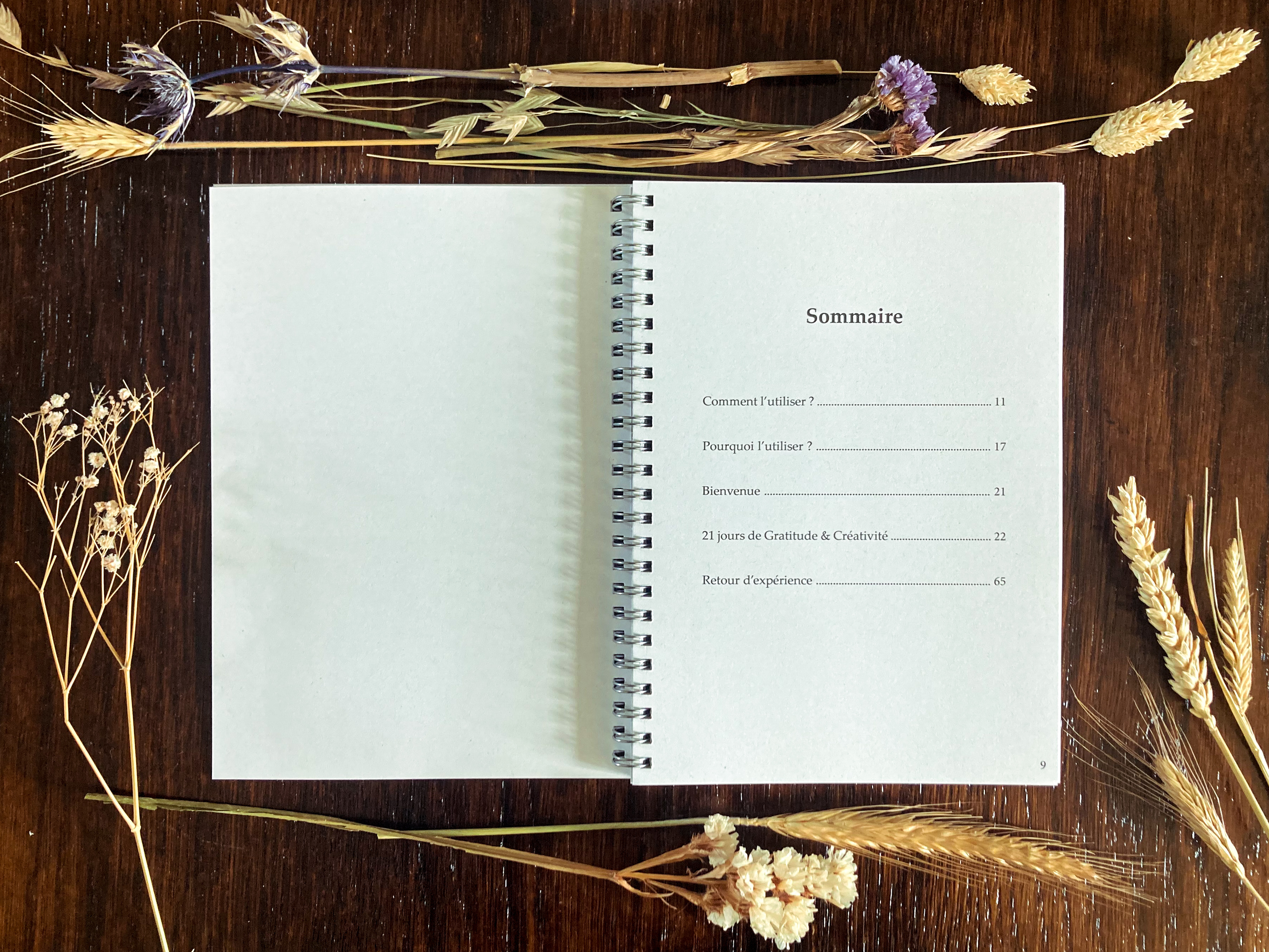 Journal de gratitude créatif ✨