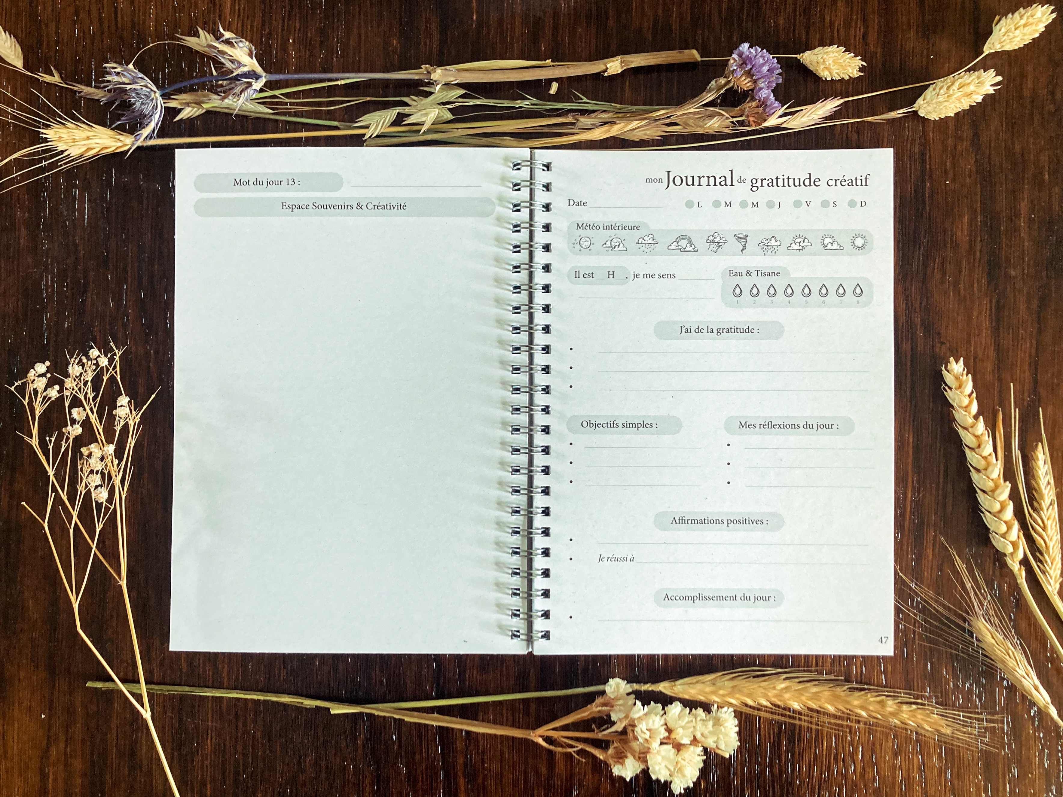 Journal de gratitude créatif ✨