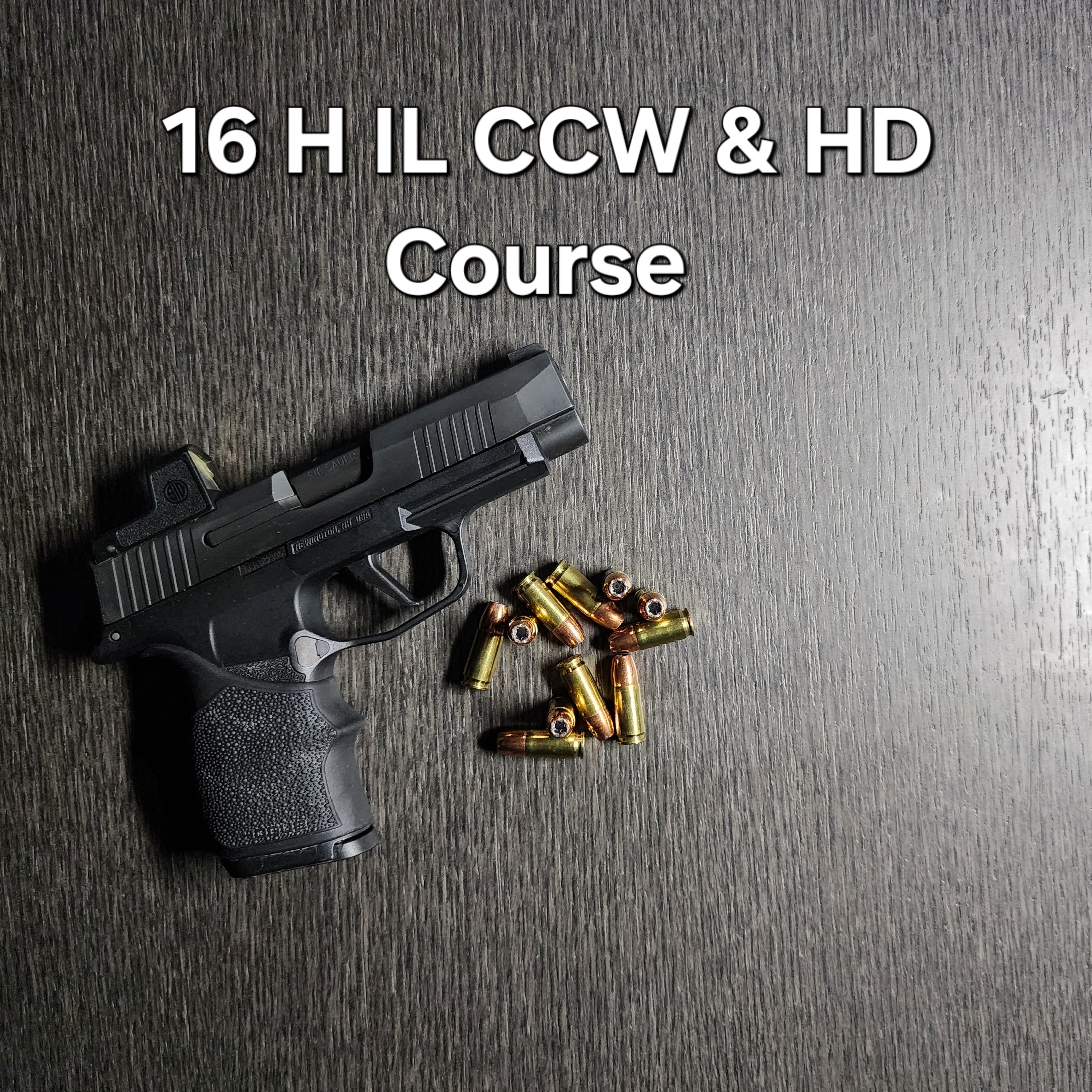 16 H IL Concealed Carry & Home Defense Course*
