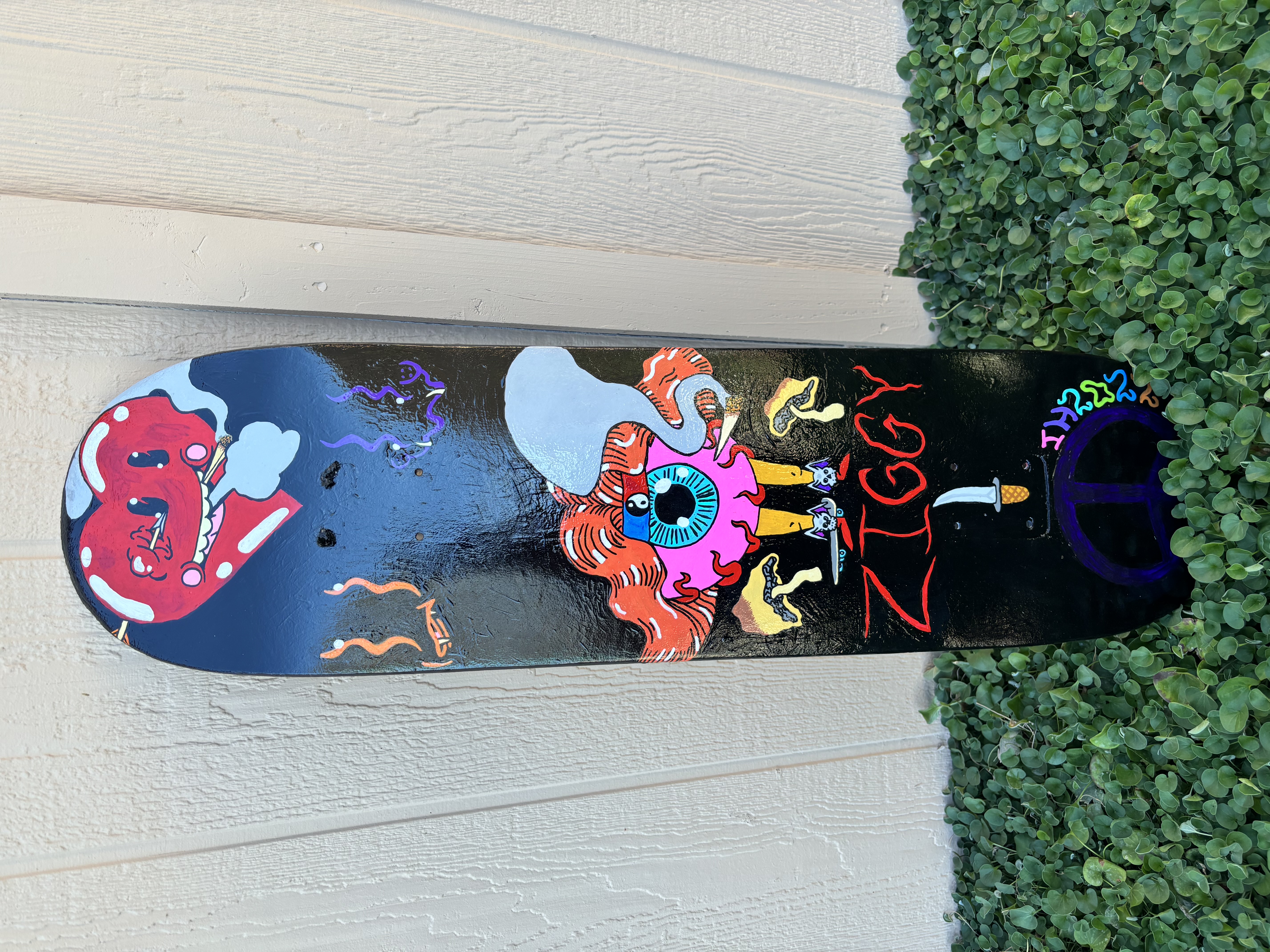 Ziggy Skateboard Painting