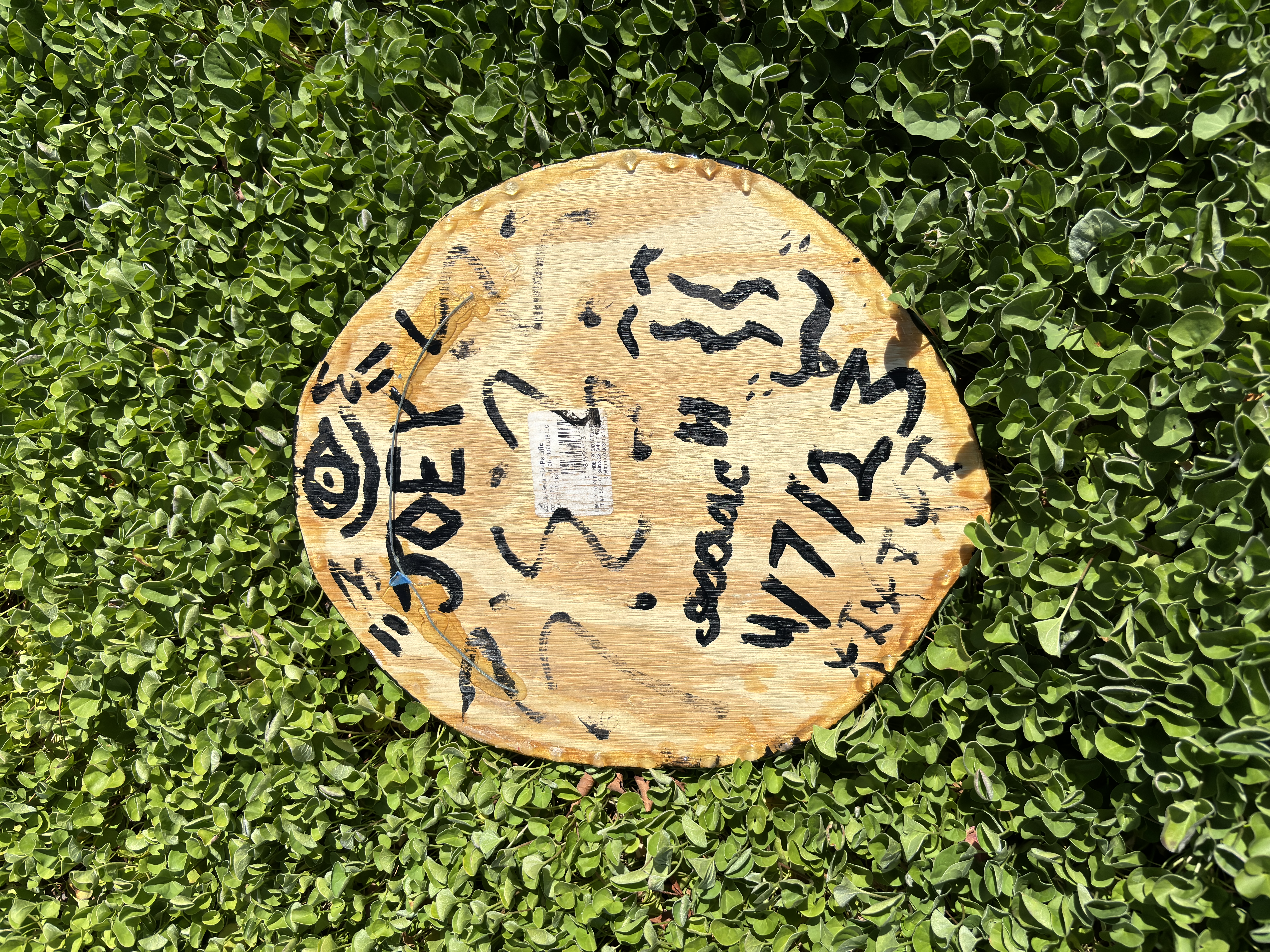 Original "Joey Eyeball" Wood Cut Painting w Epoxy Finish