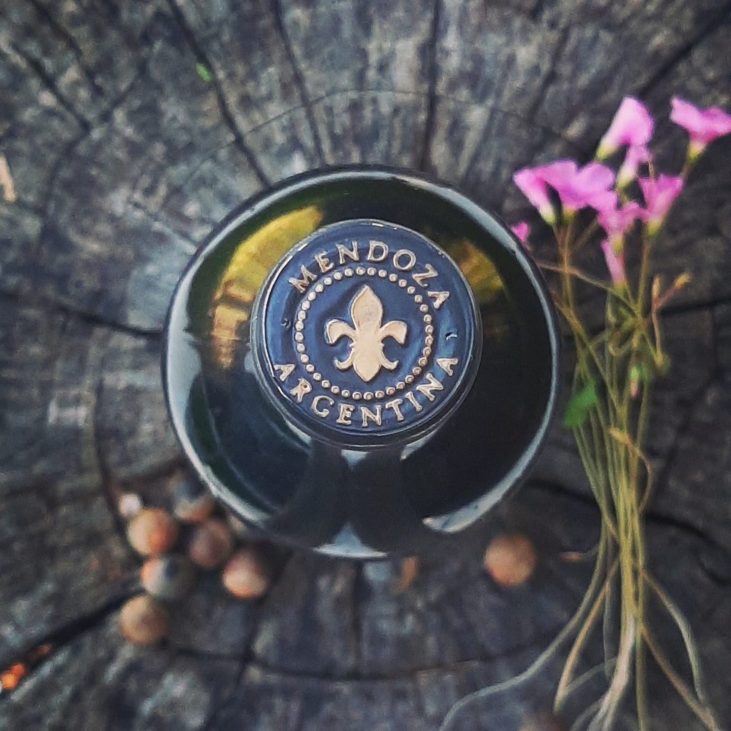 Bournett Fangio Bi-Varietal