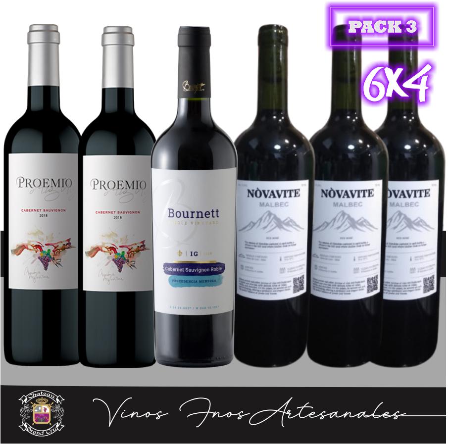 Fusión de Sabores 6x4