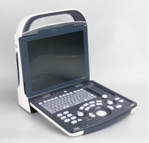 Mindray DP-10