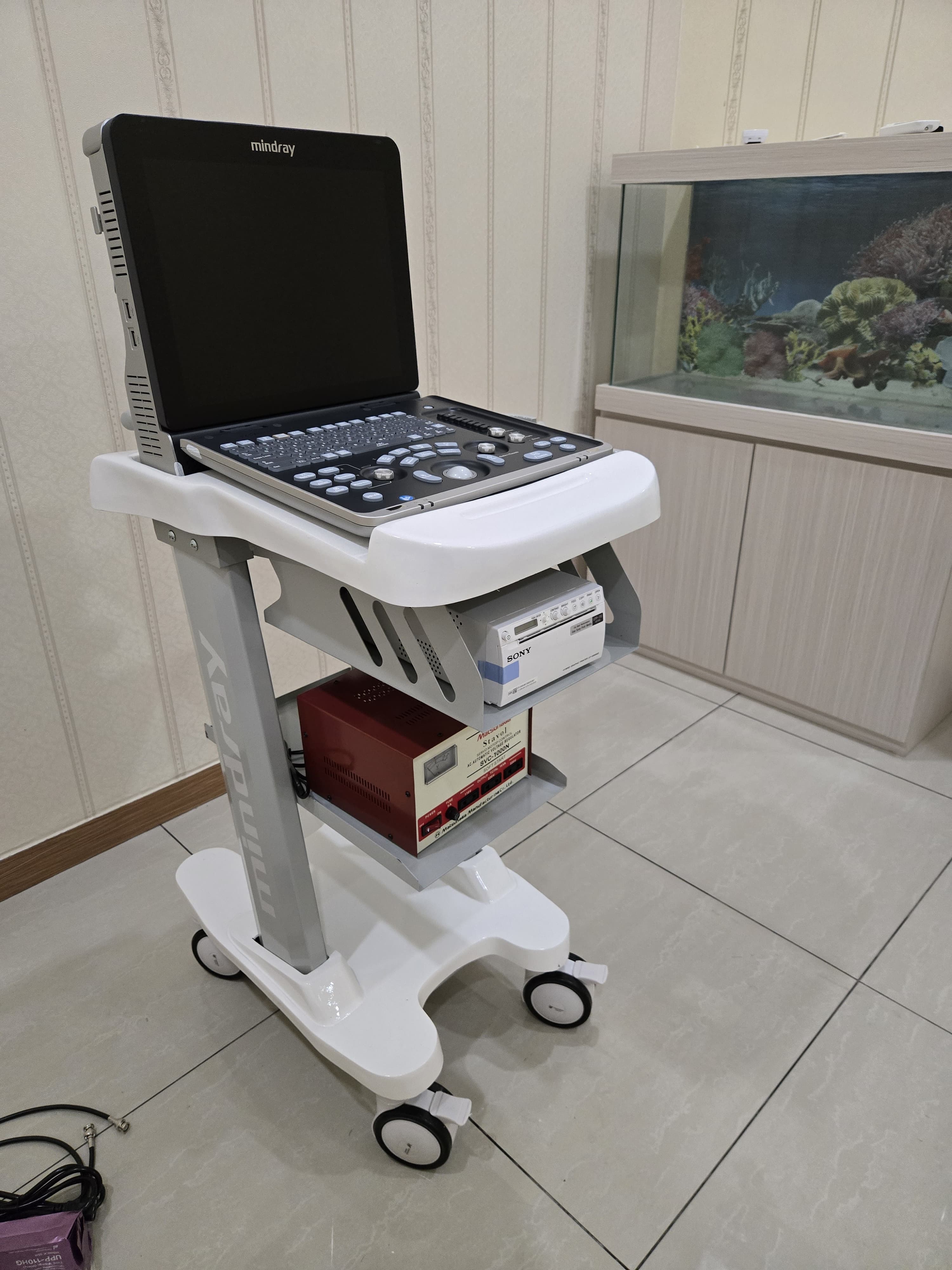 Mindray Z60 Exp 3D/4D