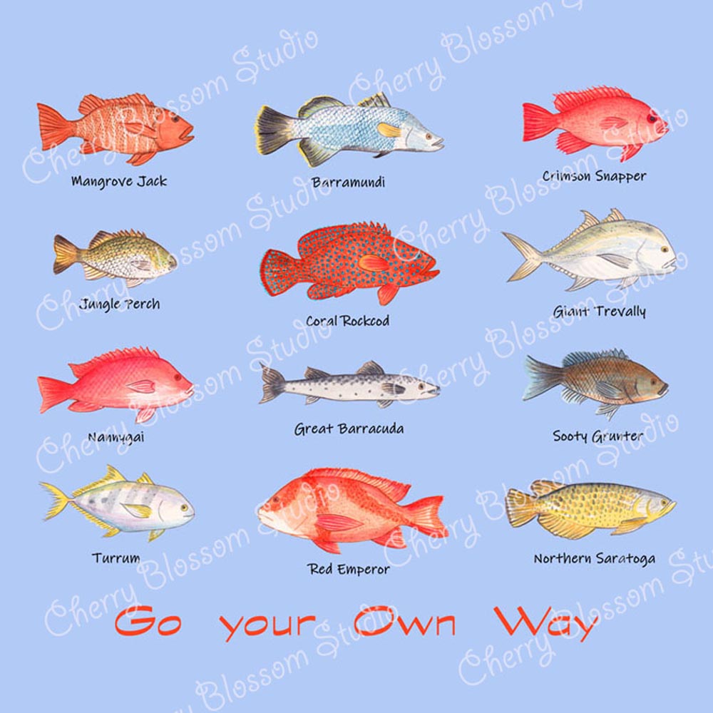Fish T shirt: Boys T shirts "Go Your Own Way" with Cairns Fish. Blue T shirt, Fishing gifts, Boys Tshirts, Fishing tee shirts