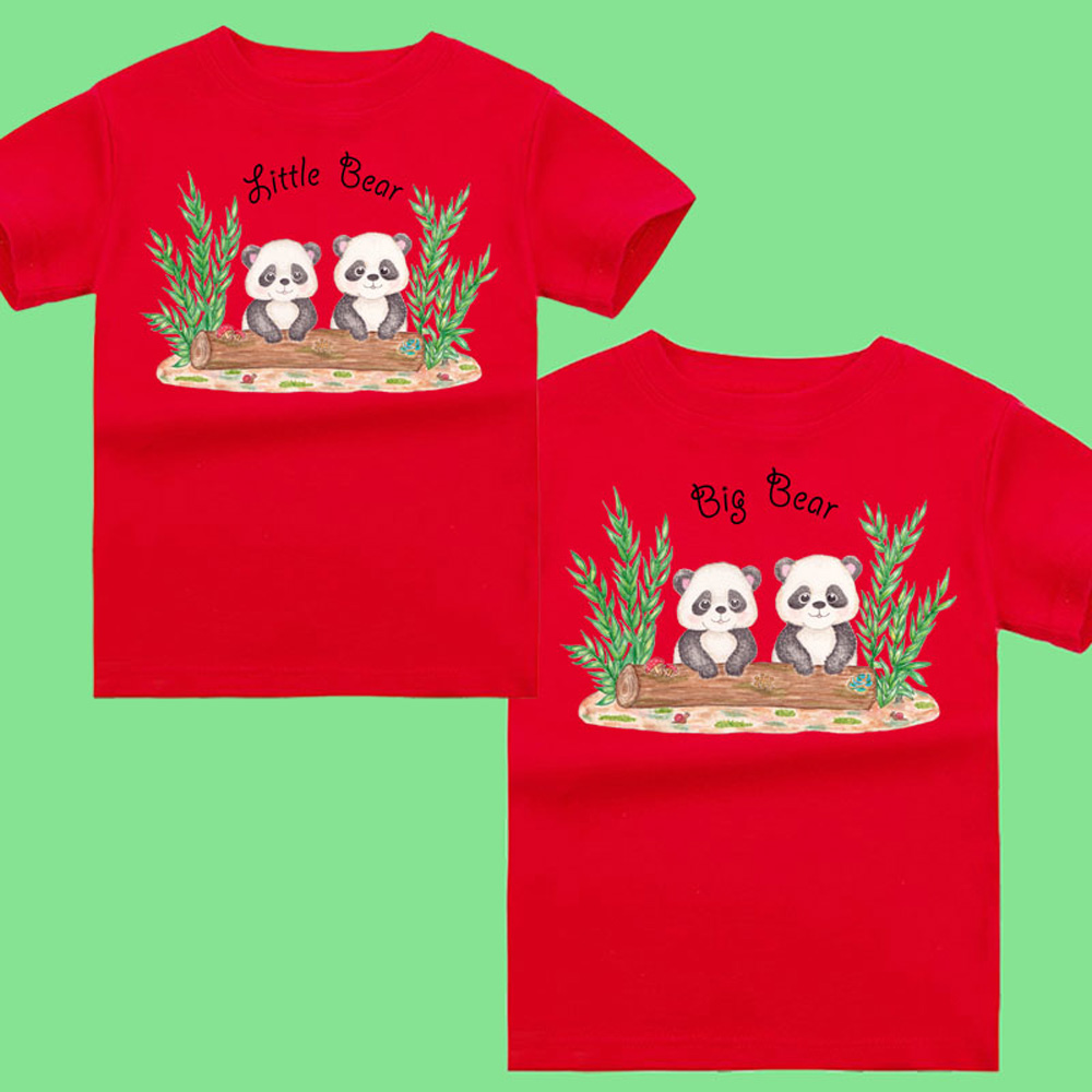 Brother and Sister Matching Outfits: Panda Onsie and Matching T shirts for Siblings