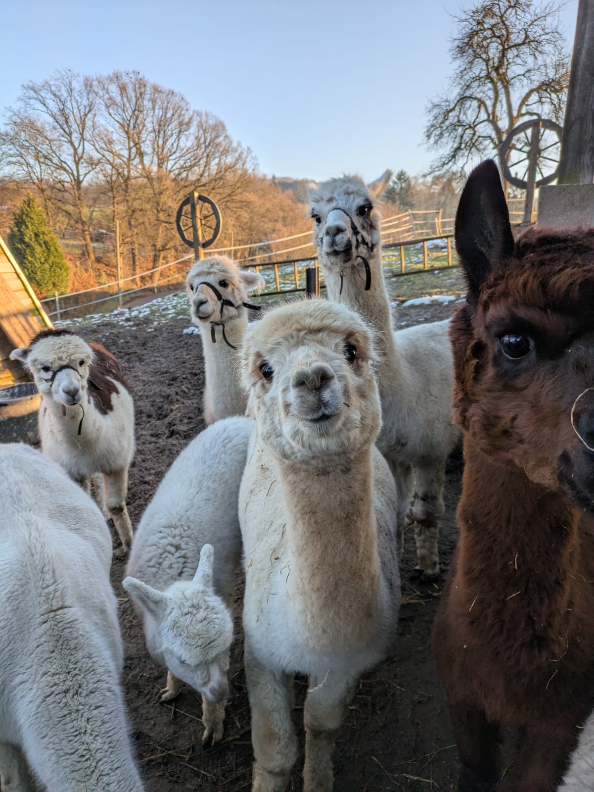 Ruhrtopcard Wanderungen