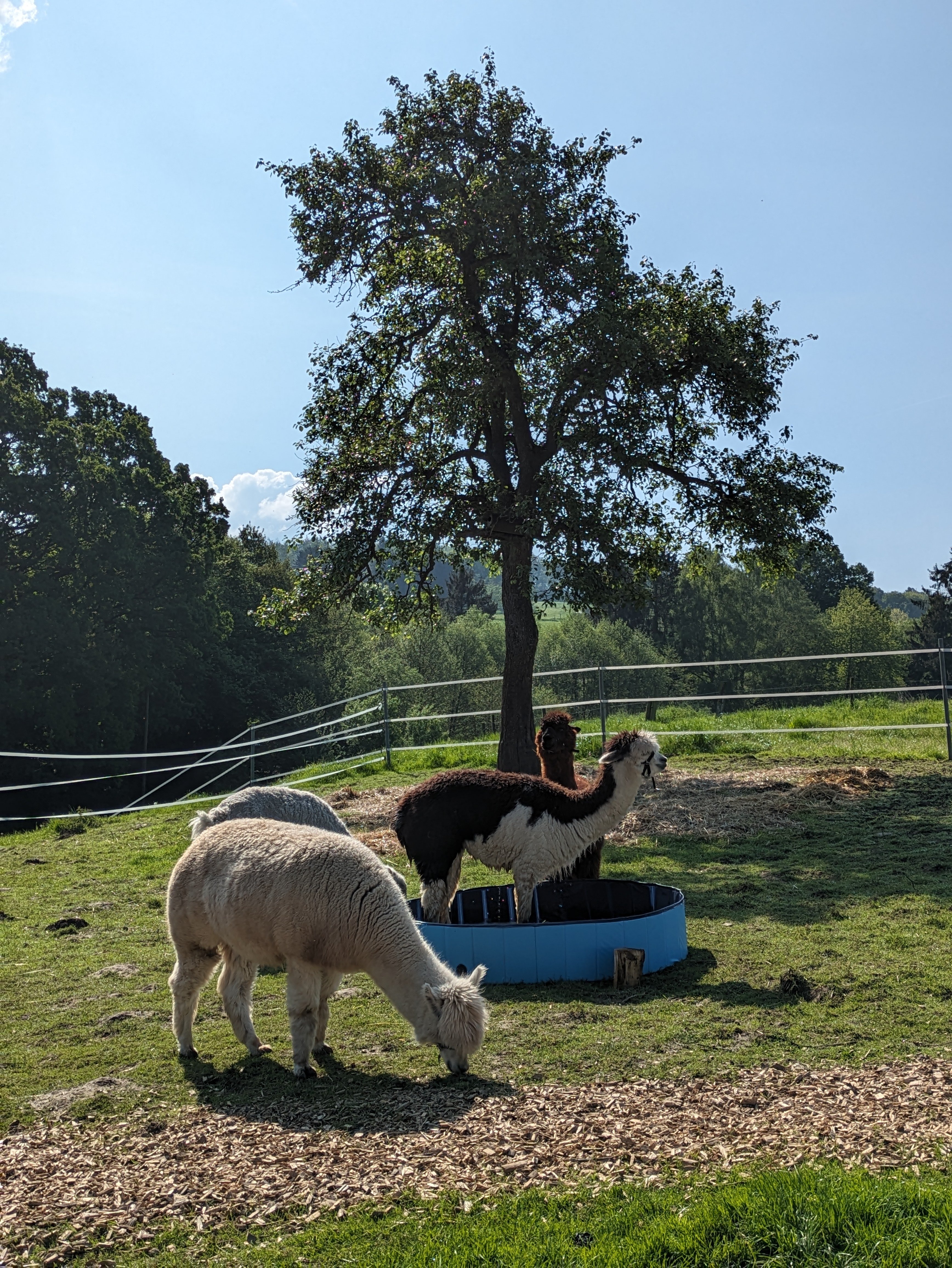 Ruhrtopcard Meet & Greet