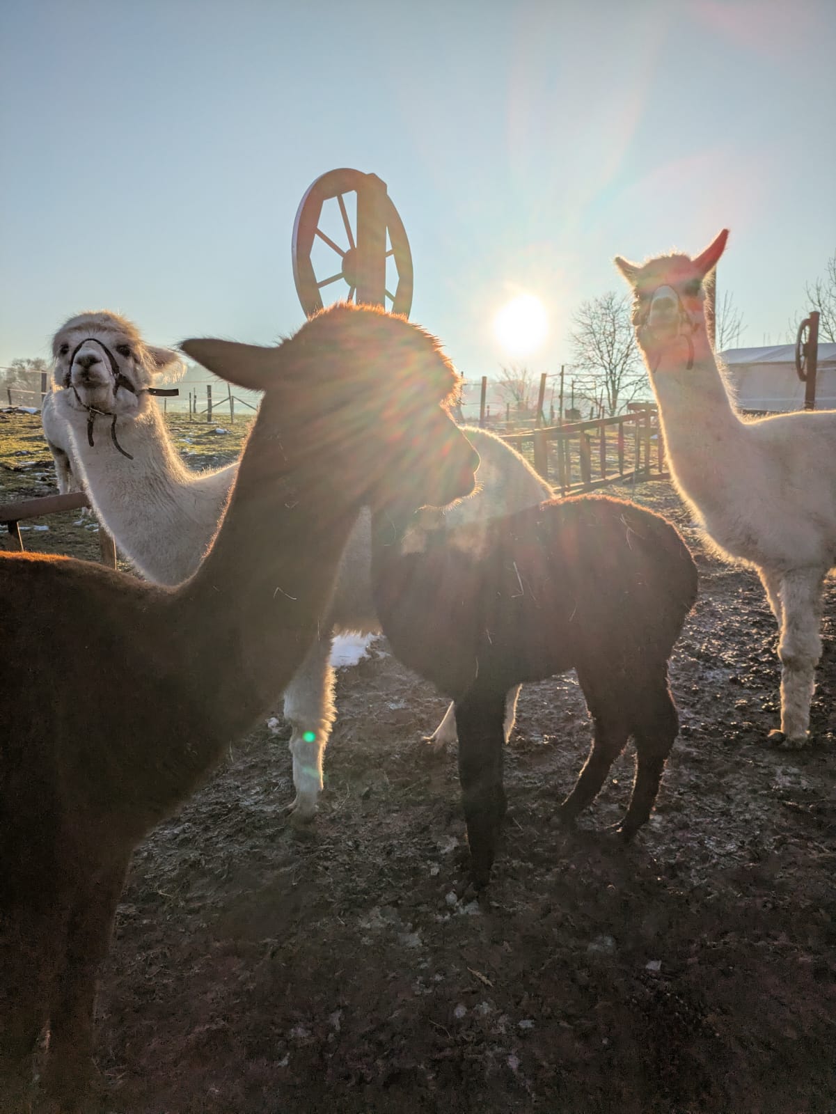 Ruhrtopcard Meet & Greet