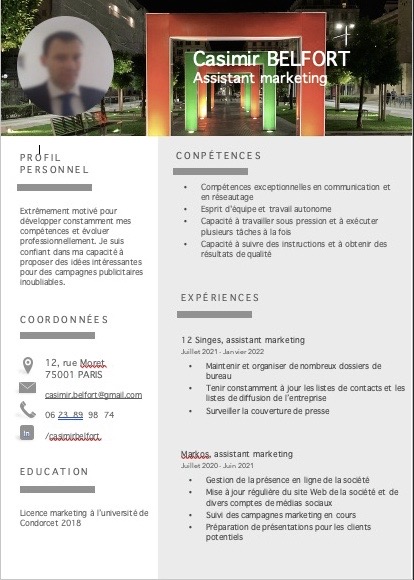 Curriculum vitae (CV) pour Word, professionnel; avec une bannière