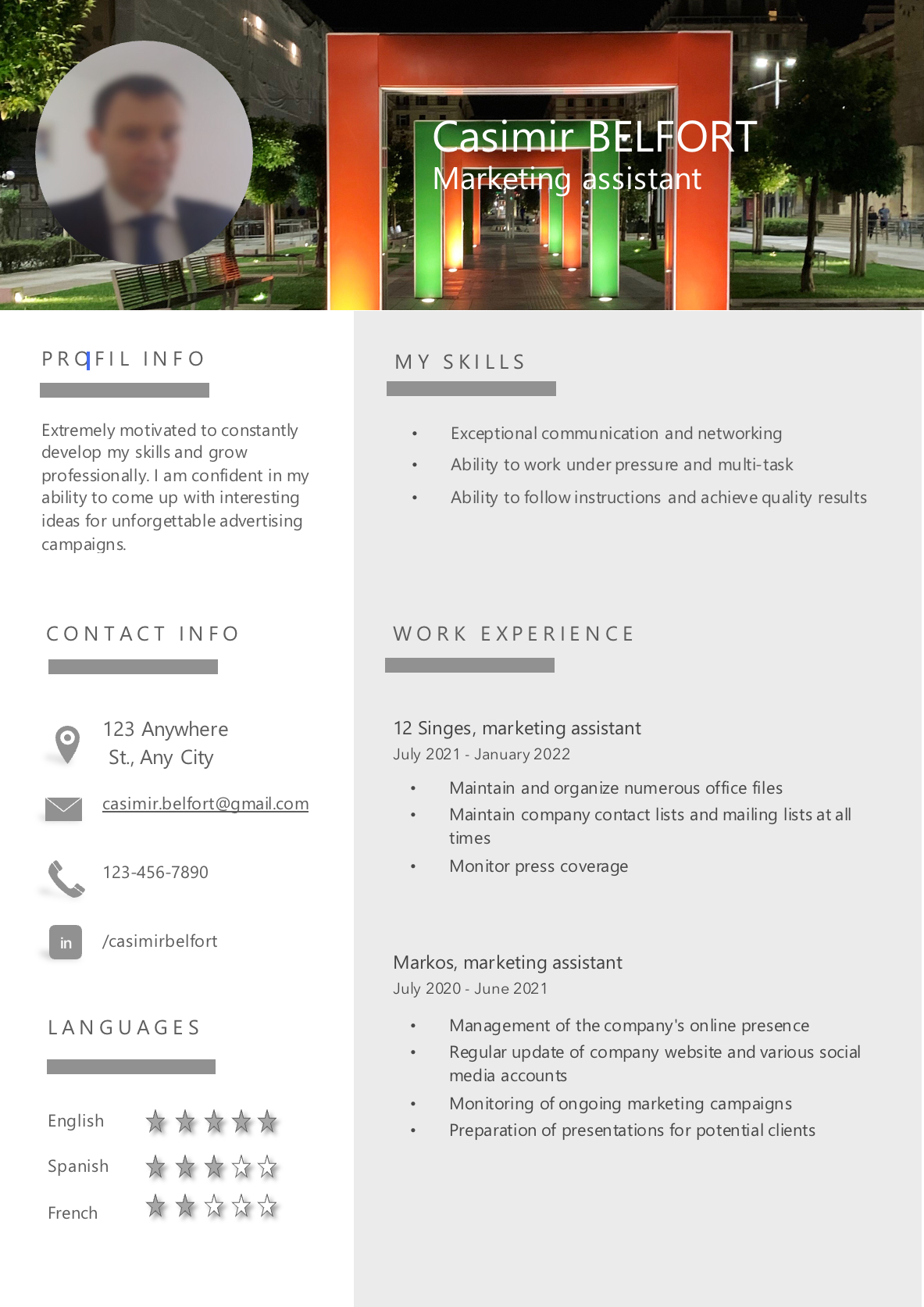 Curriculum vitae (CV) for Word, professional; with a banner
