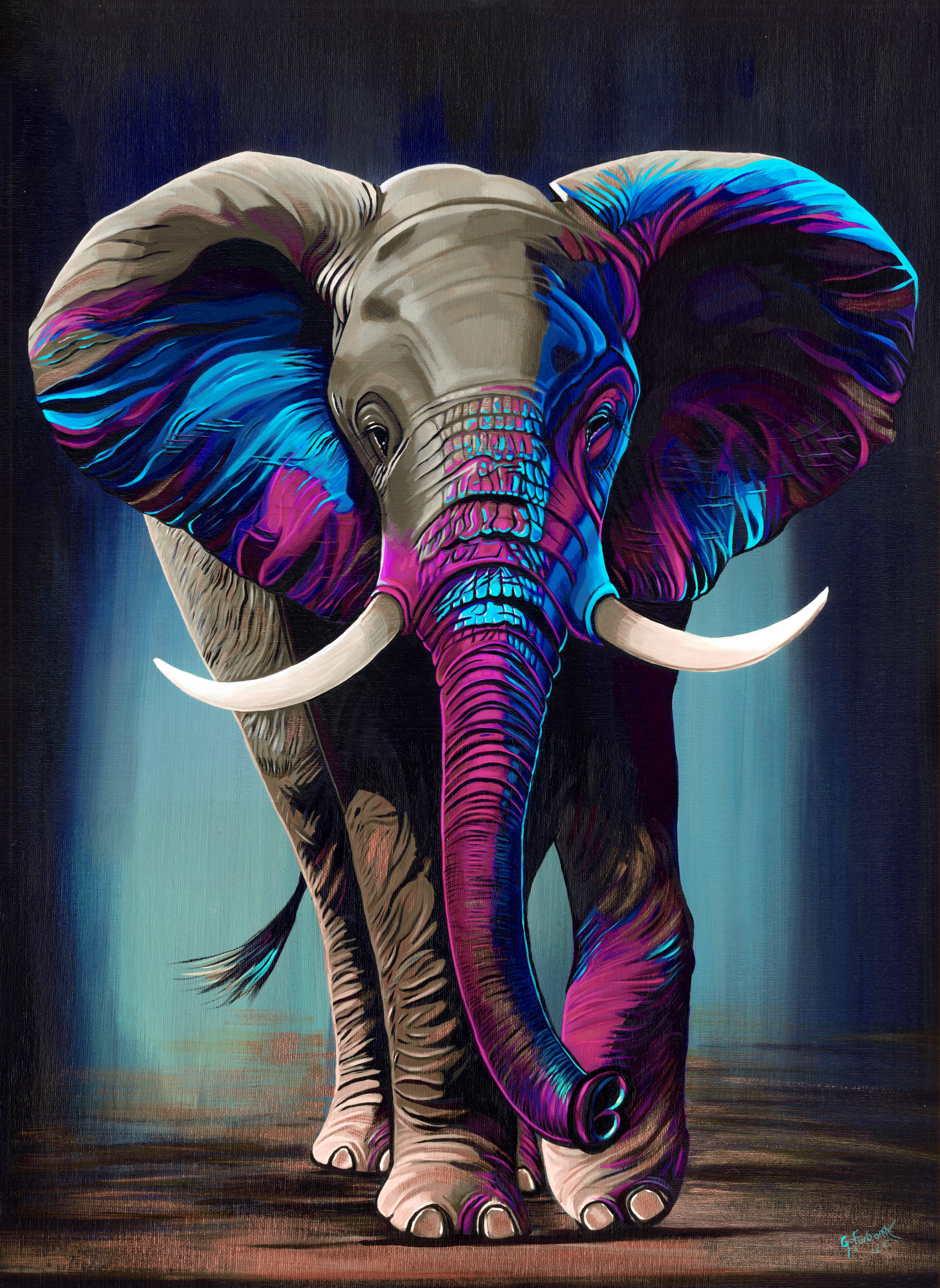 African Elephant