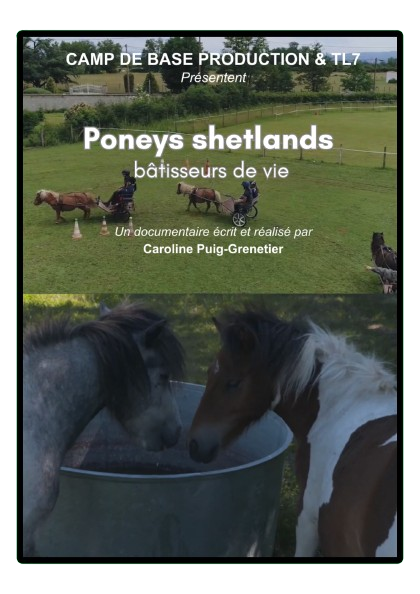 Poneys shetlands, bâtisseurs de vie