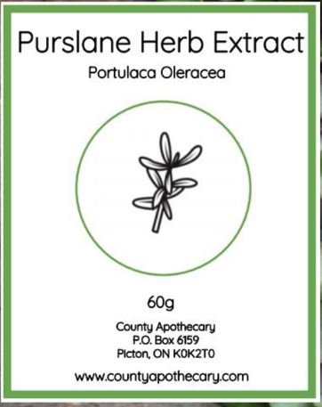 Purslane Herb Extract Powder 
