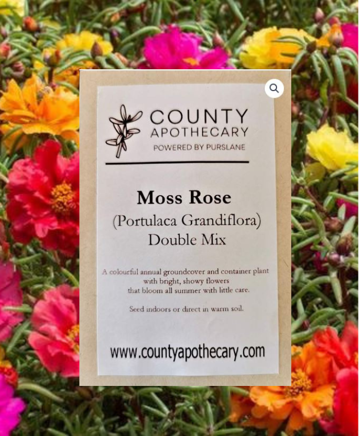 Moss Rose Seeds