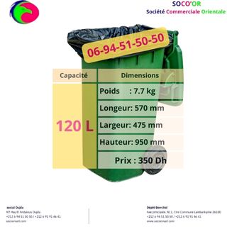 Poubelle 120 L