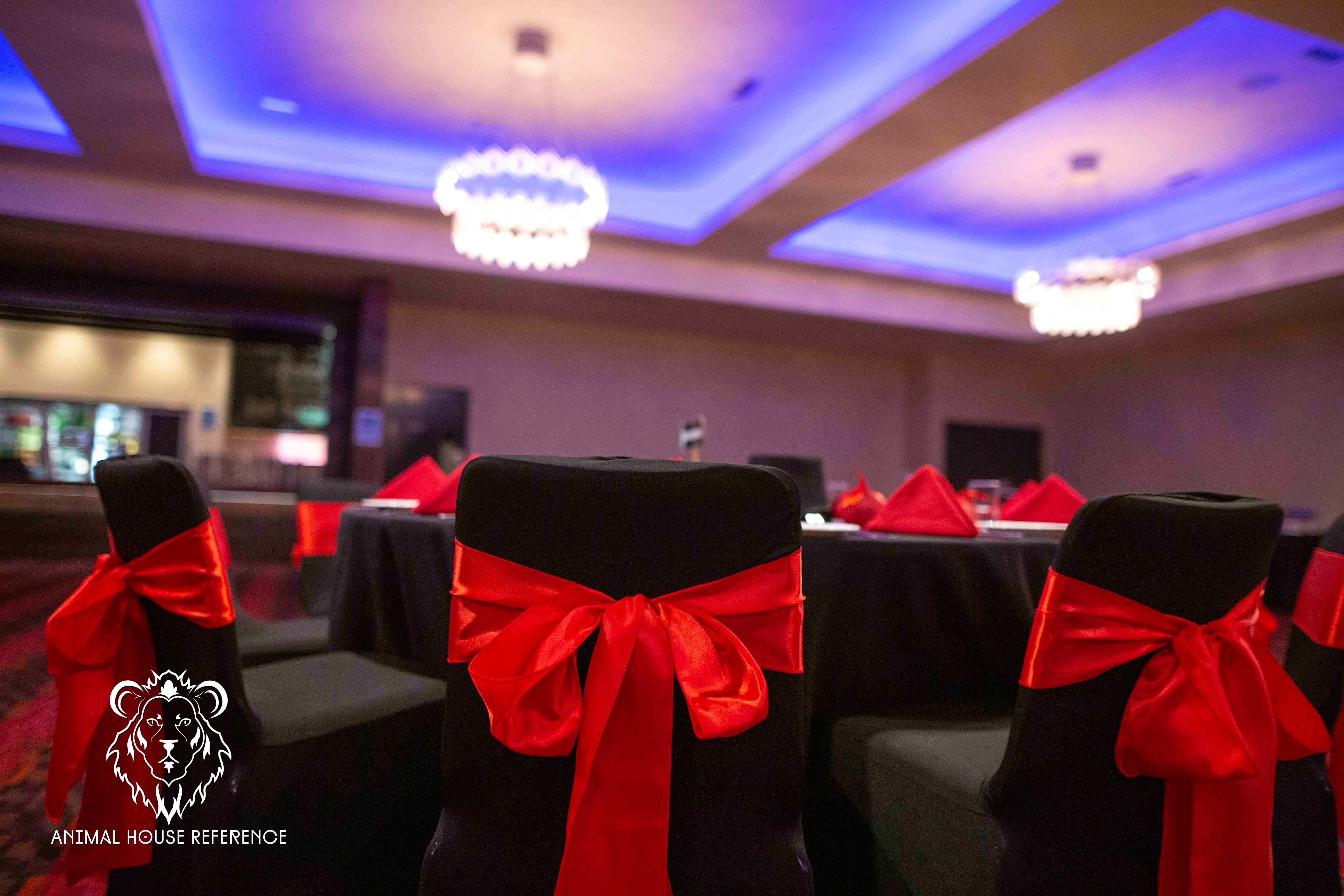 HIRE - Red Sating Chair Sashes