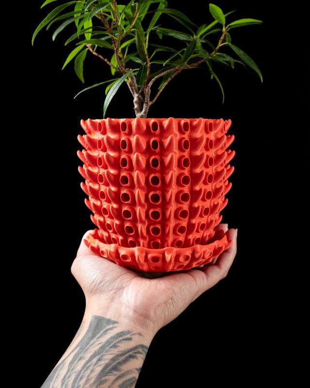 Vase Trocken- und Kunst Blumen Wunschfarbe Moderne geometrischen Design Barnacle Planter Pot by MODERN MACHINE