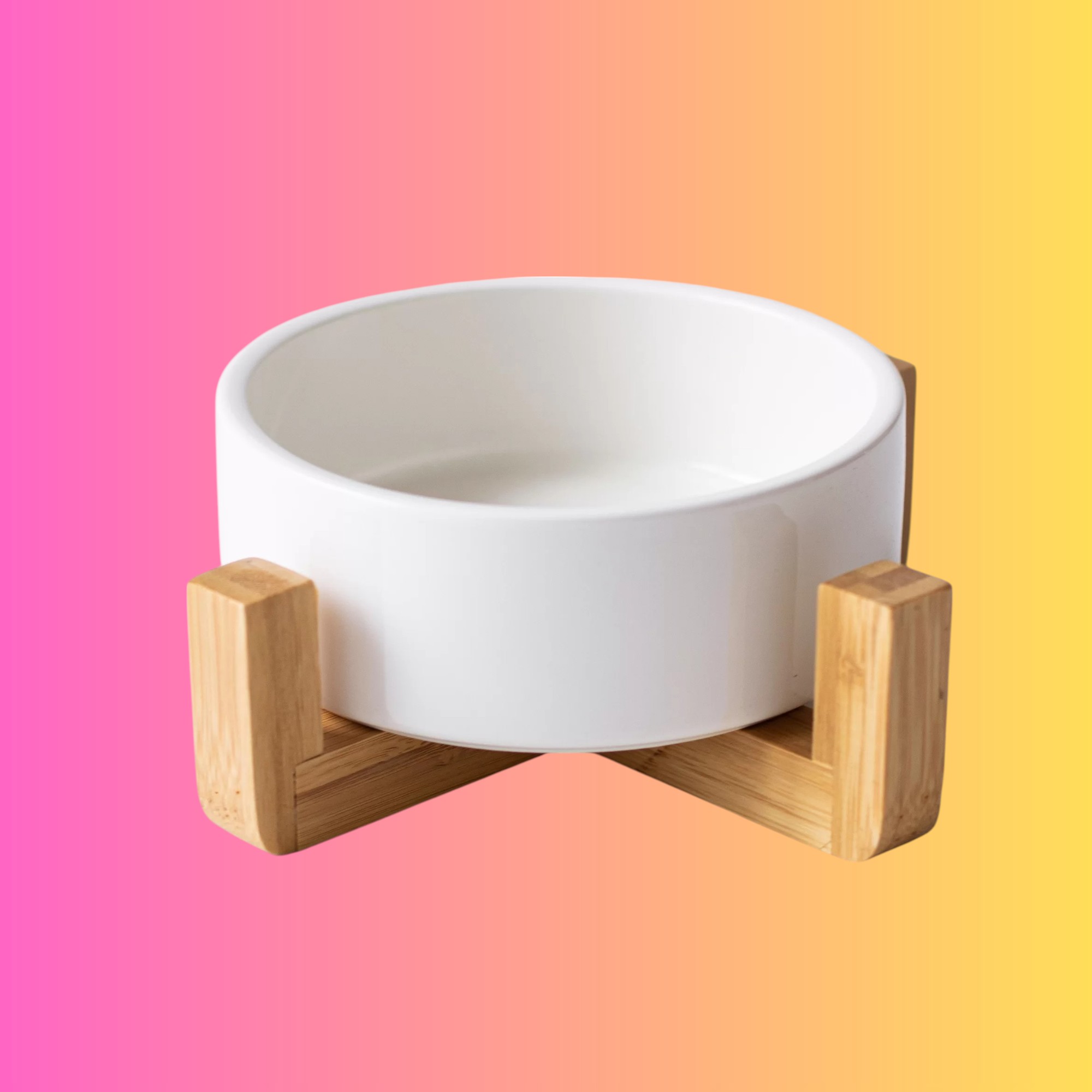 GAMELLE AVEC SOCLE - 2 modèles