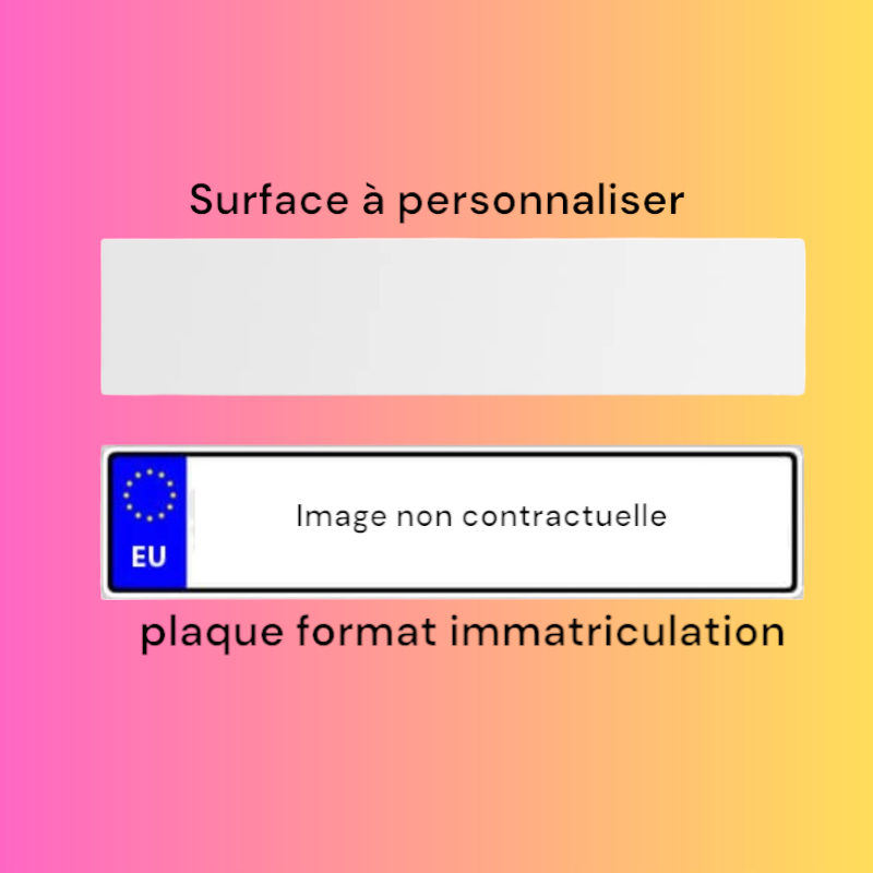 PLAQUE EN ACIER TYPE PLAQUE IMMATRICULATION