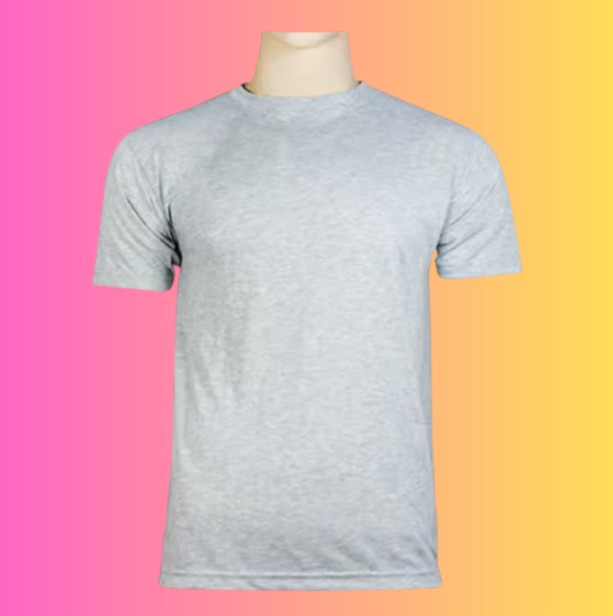 TEE SHIRT  - GRIS