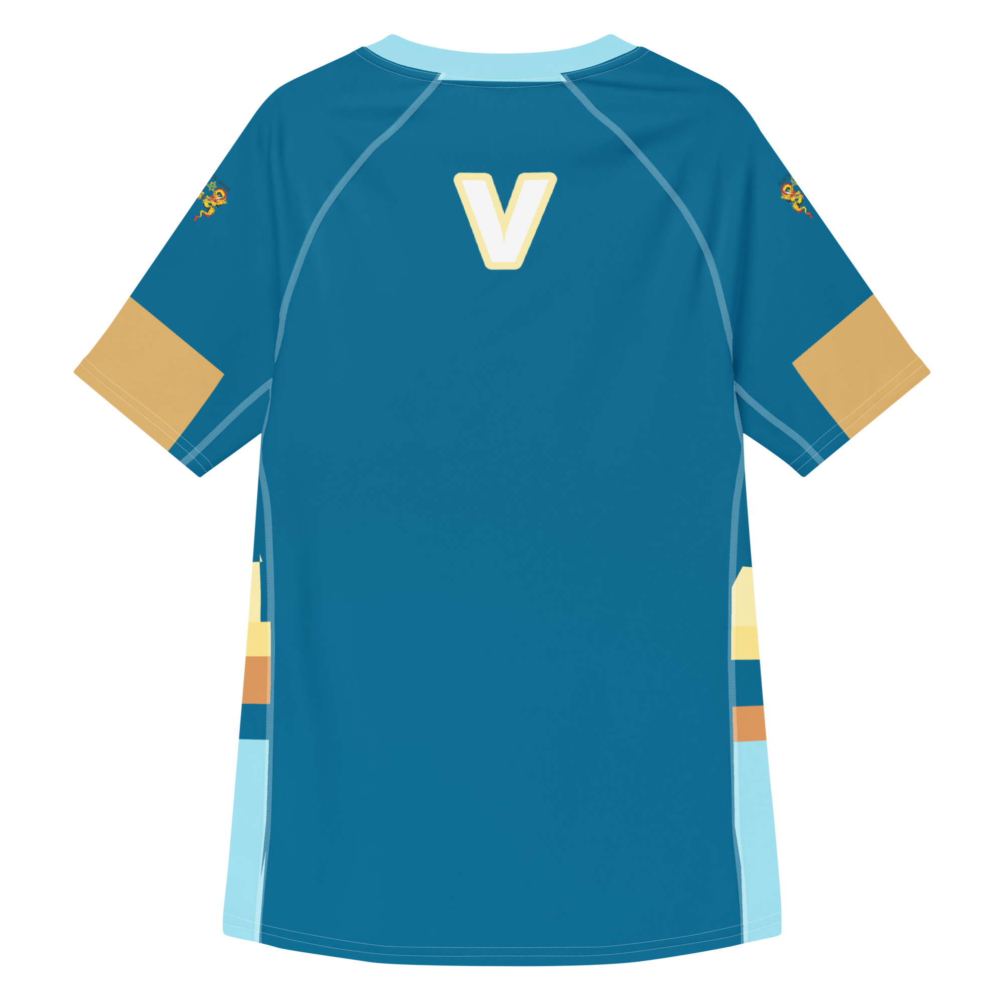 Amir Dri-fit Shirt | Sports Jersey