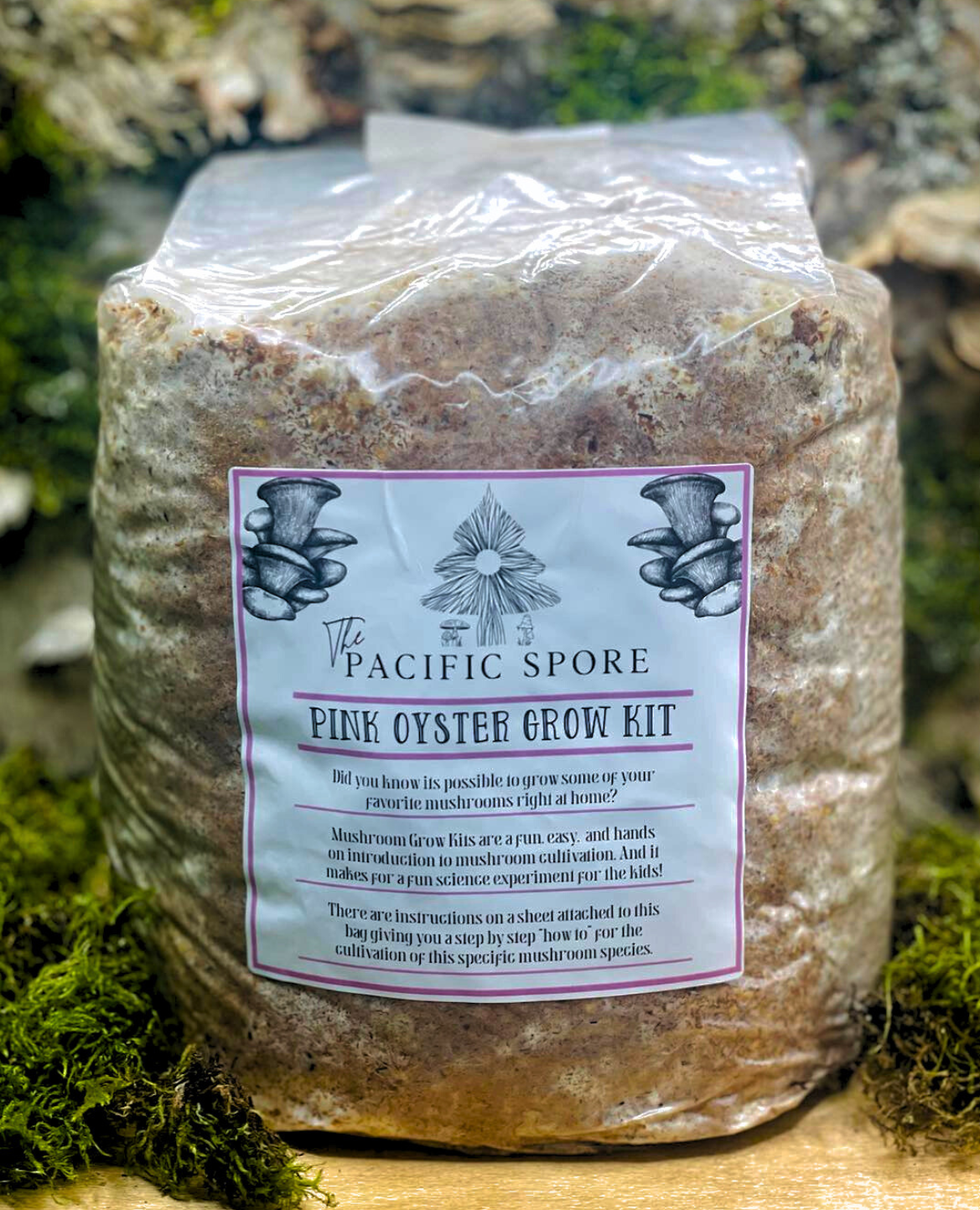 Pink Oyster Grow-Kit