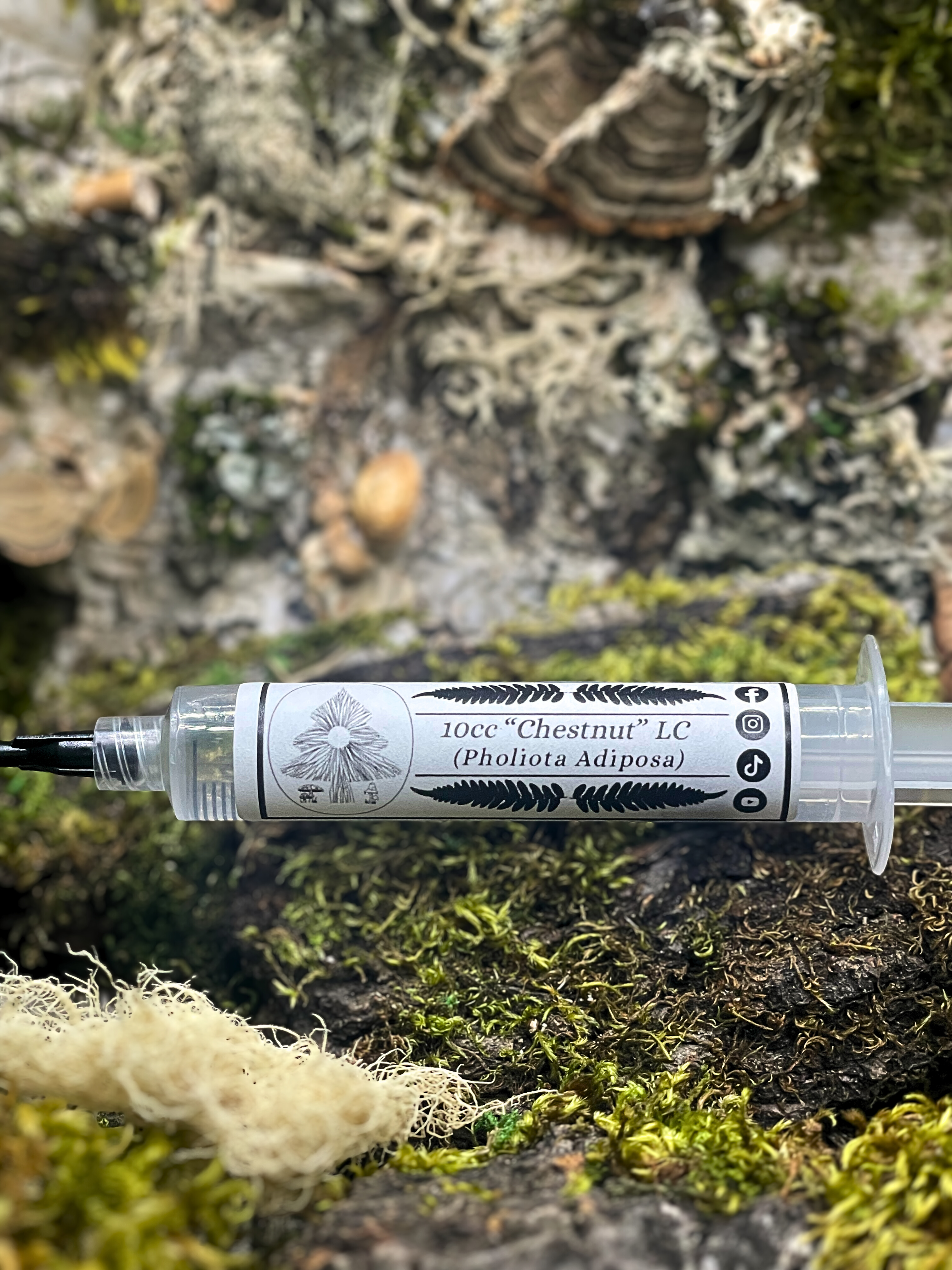 Chestnut Liquid Culture Syringe 