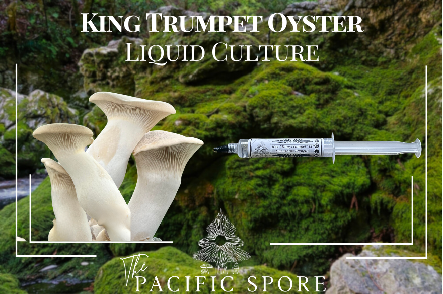 King Trumpet Liquid Culture Syringe 