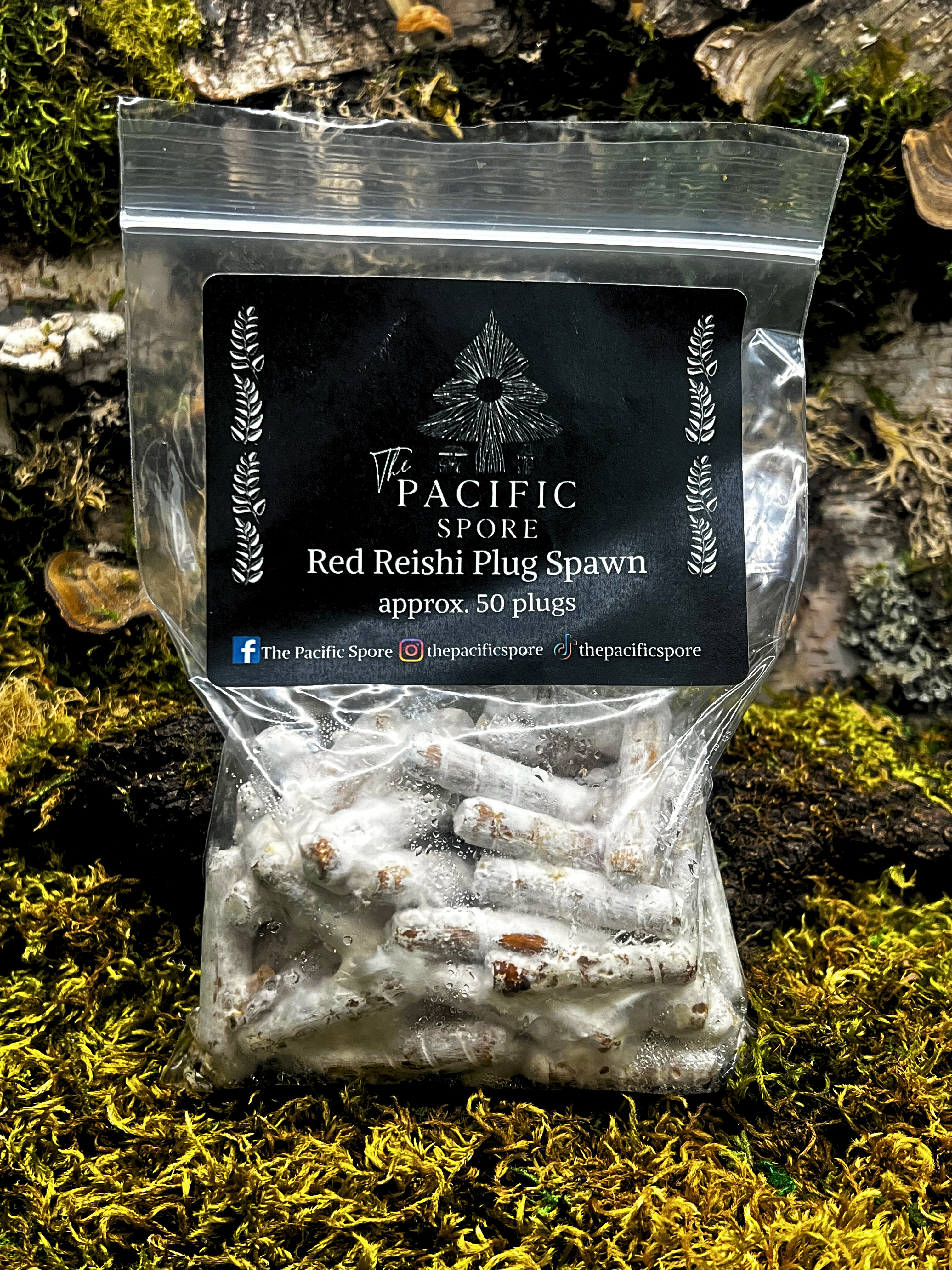 Red Reishi Mushroom Plug Spawn