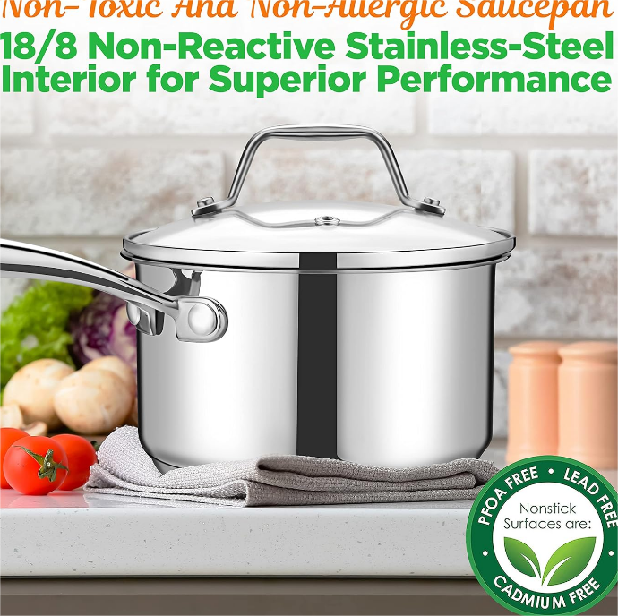2 Quart Stainless Steel Pot with Lid - Heavy Duty Saucepan with Ergonomic Handles, For All Cooktops
