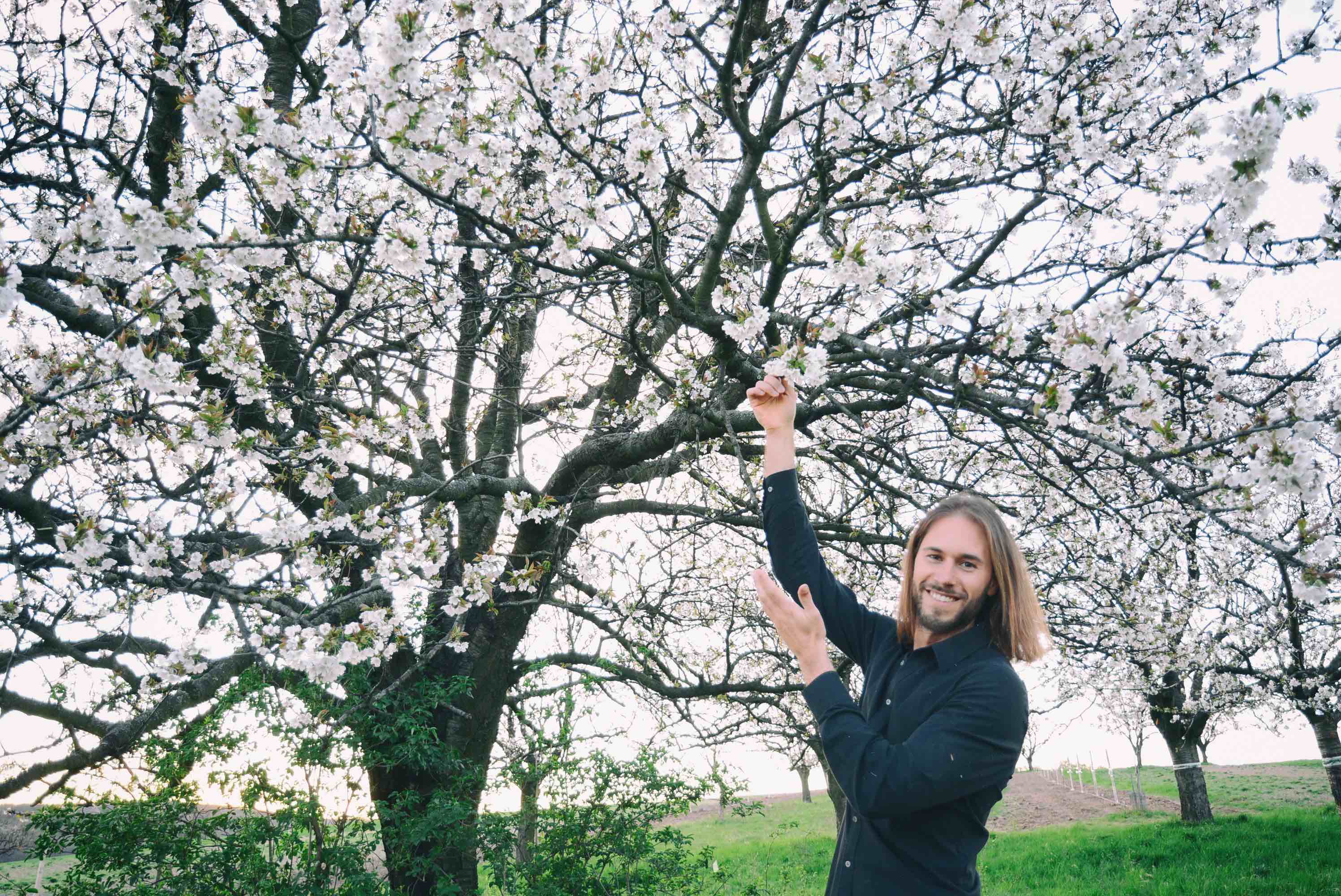 Spende für die Bienen