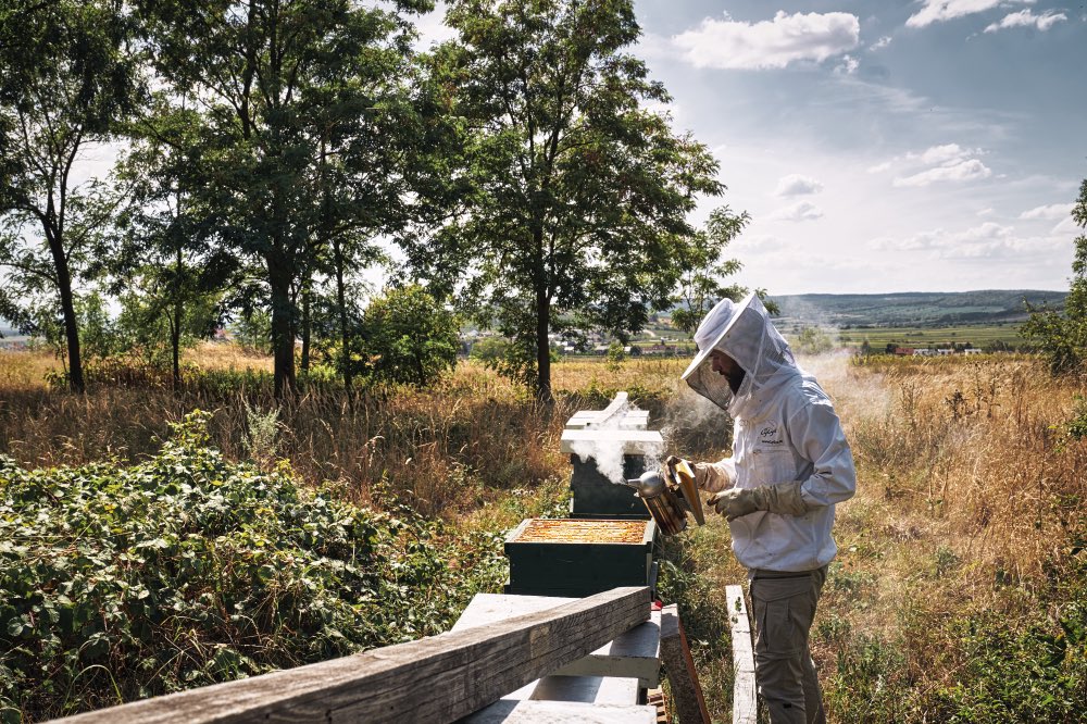 Spende für die Bienen