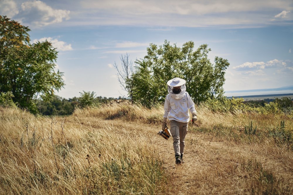 Spende für die Bienen