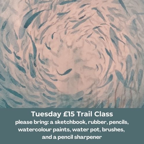 £15 Tuesday art class - Sketching and Watercolour