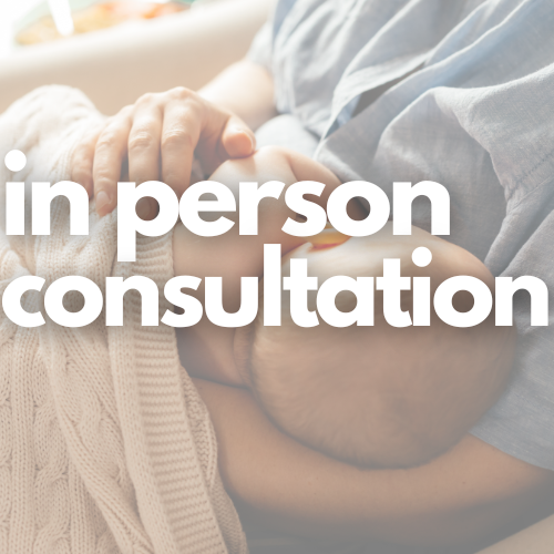 In-Home Breastfeeding Consultation / Consulta de lactancia a domicilio