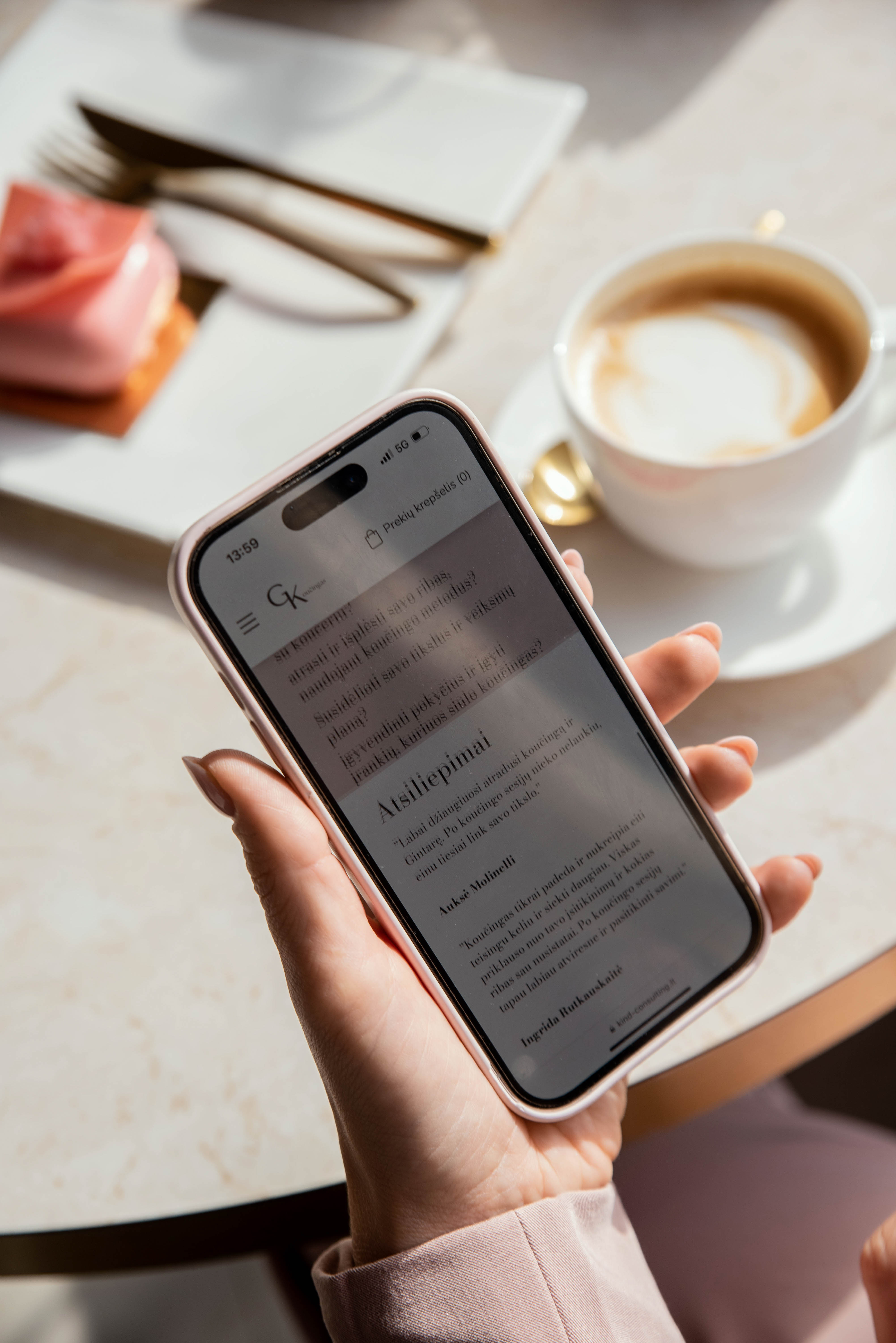 Darbo paieškos strategija