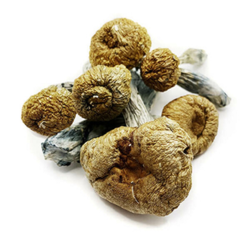 Blue Meanies Magic Mushrooms